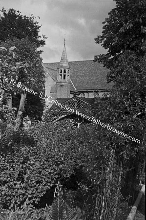 CHURCH TROUGH TREES